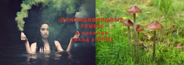 дживик Гусиноозёрск