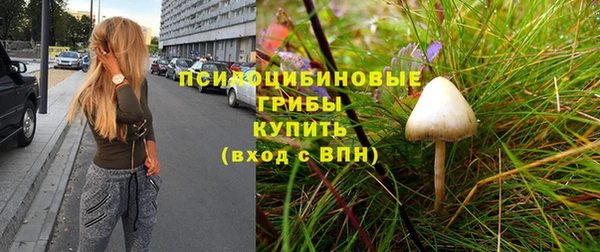 прущие крисы Горно-Алтайск