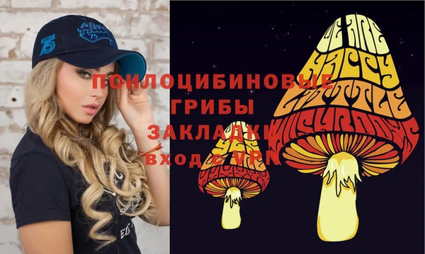 дживик Гусиноозёрск
