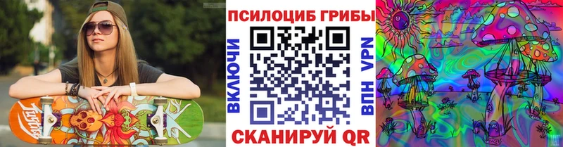 Купить  Почеп  Псилоцибиновые грибы мухоморы 